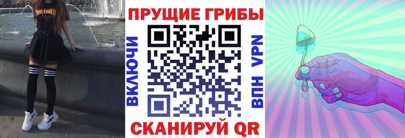 Псилоцибиновые грибы Psilocybine cubensis  Сорочинск 